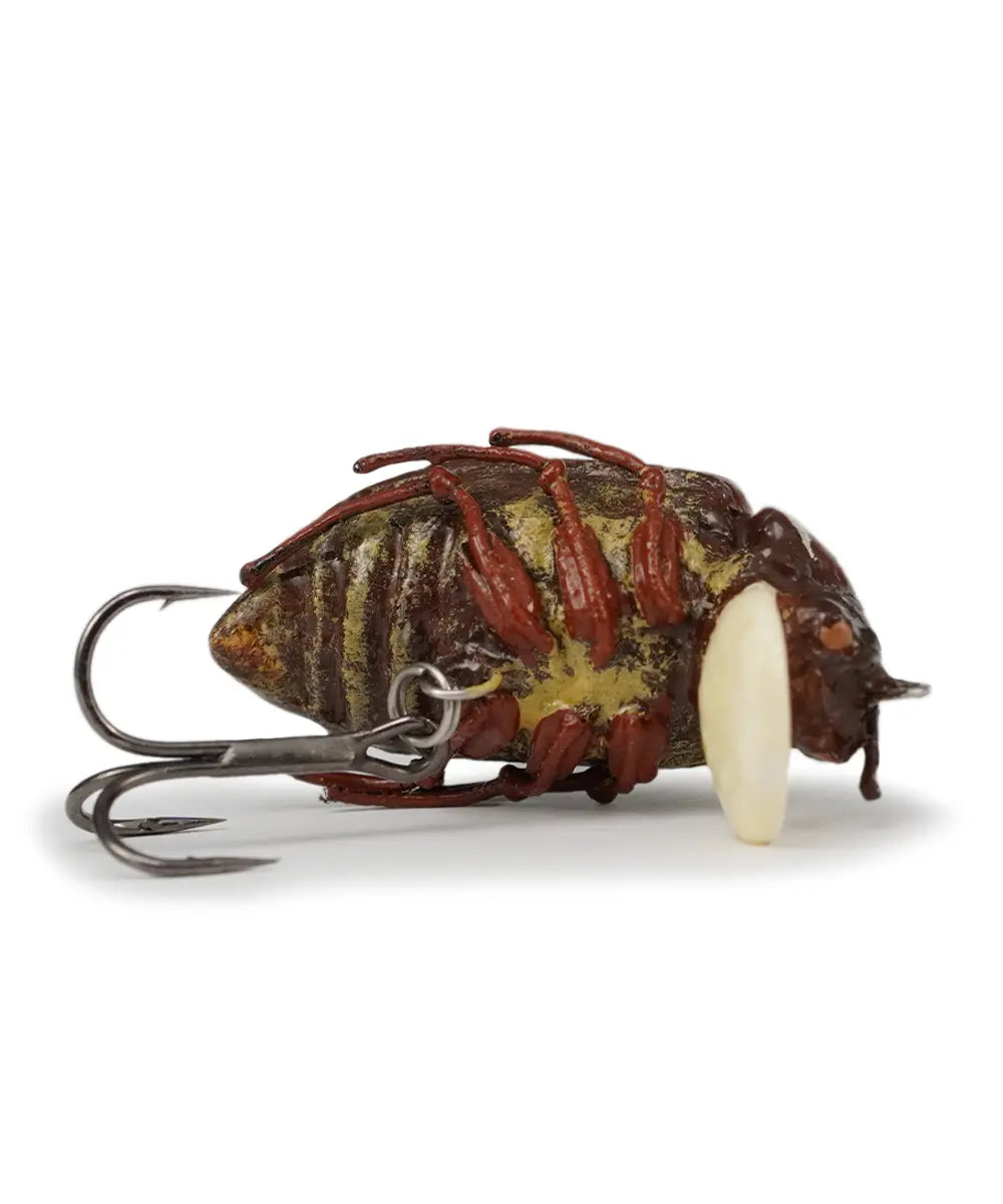 Pine Chafer Topwater Floating Fishing Lure 4.5g 35-F for Bass, Trout, Salmon, Steelhead and Perch - My Store